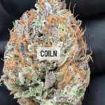 Cannabis 420 shop