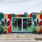 Cannabis Box Phuket กัญชาภูเก็ต