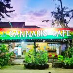 Cannabis Cafe (Art for All)