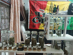 Cannabis flowers displayed in jars at Cannabis Cafe Lung mee, Hua Mak, Bang Kapi, Bangkok. Cannabis products in Thailand.