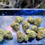 บ้านกัญ Cannabis house