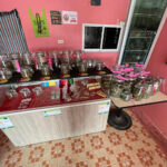 cannabis muaklek pakchong