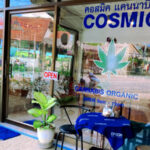 COSMIC CANNABIS ORGANIC