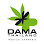 Green marijuana leaf with a black cross and the words "DAMA THAILAND" and "MEDICAL CANNABIS".