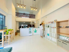 Interior of Dr.Cannabis dispensary in Hua Hin, Thailand. Modern cannabis shop selling cannabis flower and accessories.