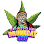 Logo of a pineapple wearing a crown, with a leafy marijuana-like background and text.