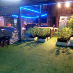 ร้าน เมล็ดพันธุ์คุณภาพ จีออโต้ซี๊ด(G.Autoseeds)