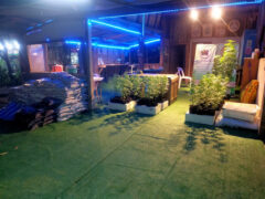 G.Autoseeds cannabis dispensary, Kumphawapi District, Udon Thani, Thailand. Showing cannabis plants and supplies.