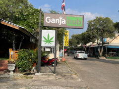 Exterior of Ganjahub dispensary in ตลาดร่มโพธิ์ จอมเทียน, Bang Lamung District, Thailand, showing sign and cannabis leaf logo.