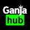 Ganja Hub logo: white text "Ganja" above green square with white text "hub.