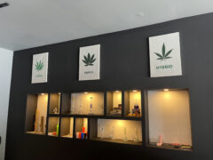 GanjaShop in Thale Chup Son, Lopburi: Display of cannabis strains (sativa, indica, hybrid) and smoking accessories.