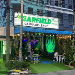 Garfield Thailand Weed Club | Dispensary in Phuket