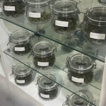 ร้านกัญชา GreenDay420