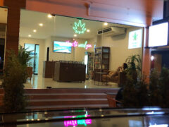 Grow High Phuket cannabis shop exterior, Sakhu, Phuket. Neon cannabis leaf sign. Weed dispensary, Thailand.