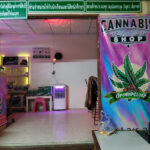 Growertiger café cannabis & P-milk café