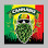 A skull wearing sunglasses and a rasta-colored hat and beard made of hops, the word "CAMARRO" above.