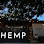 HEMP text on a white background, blurred with outdoor scenery.