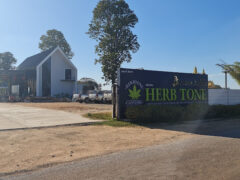 Exterior of Herb Tone cannabis shop, 99 Kham A Huan, Mueang Mukdahan, Thailand, with sign and building.
