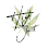 A stylized green maple leaf with black outlines and lines.