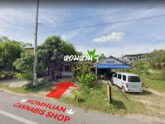 Homhuan Cannabis Shop exterior, cannabis shop in Songkhla, Thailand. Cannabis flowers and smoking accessories available.