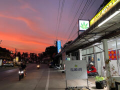 Exterior of Island Life Cannabis Shop on Ko Chang, Thailand, with cannabis leaf sign and scooters on the road.