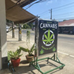 Koh Chang cannabis club