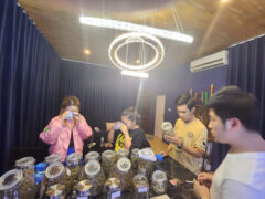 Longterm420Cannabis: tasting cannabis flower, Nong Pla Lai, Chon Buri, Thailand. Weed and marijuana dispensary.