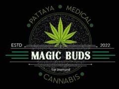 Magic Buds Pattaya cannabis shop logo on Soi Diamond, Pattaya, Thailand. Medical cannabis, established 2022.