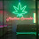 Neon cannabis leaf and "Madison Cannabis" sign.