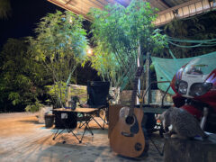 Make a Friend Cafe outdoor seating with cannabis plants, guitar, and cat in Phan District, Chiang Rai, Thailand.
