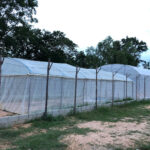 มีแฮงฟาร์ม Mee Hang Farm