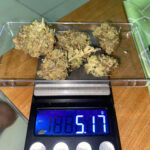 NUDYIM Cannabis420