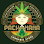 Pachamama logo: woman's face with headdress and green detail.