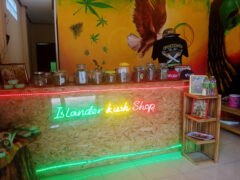 PiNam Cannabis Shop, Mae Nam, Koh Samui. Cannabis flower in jars on display at this weed shop in Surat Thani, Thailand.