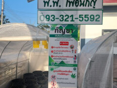 PP Cannabis FARM By พีพี เพื่อนกัญ Loei sign in Na Aan, Loei. Cannabis dispensary sign.