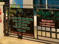 PWG Cannabis & Bake Suphanburi signage. Weed shop banners on นางแว่นแก้ว Road, Suphan Buri, Thailand. Cannabis for sale.