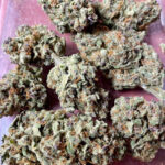 SALAMANCA OG