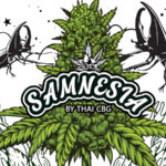 Samnesia Cannabis shop wholesale