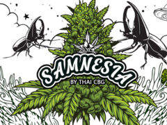 Samnesia Cannabis Shop Wholesale logo, featuring cannabis bud graphic and cartoon style elements, in Dong Mada, Chiang Rai.