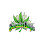 Green leafy cannabis plant with a yellow label.