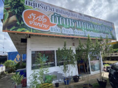 Southern Weeds Thailand dispensary exterior, Phanom District, Surat Thani. Cannabis flower and weed shop in Thailand.
