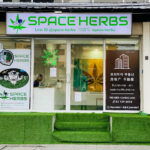 Space Herbs Two Ramkhamhaeng Cannabis 太空药草 大麻