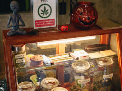 Interior display at Stone.d Store - Cannabis Shop in Nakhon Si Thammarat, showing cannabis flower jars and accessories.