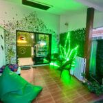 Sudyod Ganja (Pran Buri) - The Green Room