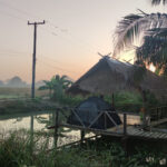 TamSbaY