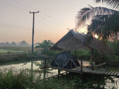 Tranquil scene at TamSbaY dispensary in Bueng Na Rang, Phichit, Thailand; hut over water with cannabis products.
