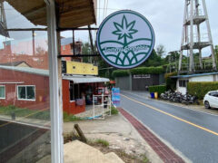 Tommy Cannabis weed shop exterior, Thalang District, Phuket, Thailand. Cannabis flower & accessories.