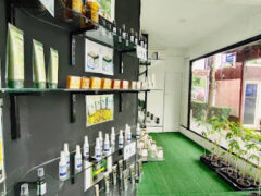 Interior of ร้านธัญญา สุตรา in Sai Mai, Bangkok, displaying cannabis products and accessories.