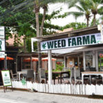 Weed Farma Dongtan Beach