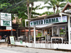 Exterior of Weed Farma Dongtan Beach dispensary near Rabbit Resort Pattaya, with open-air seating and cannabis signage.